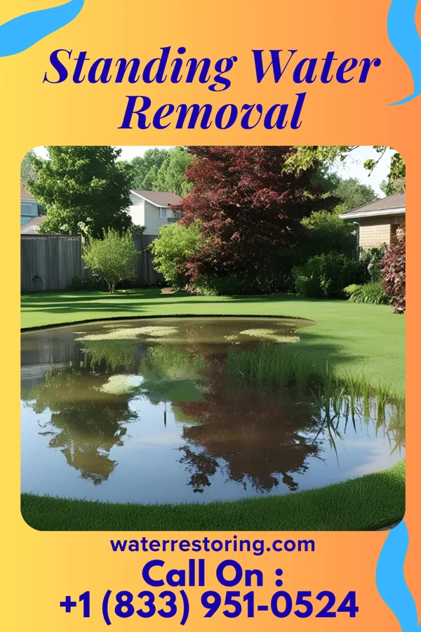 Standing Water Removal in Crooked Lake Park, FL